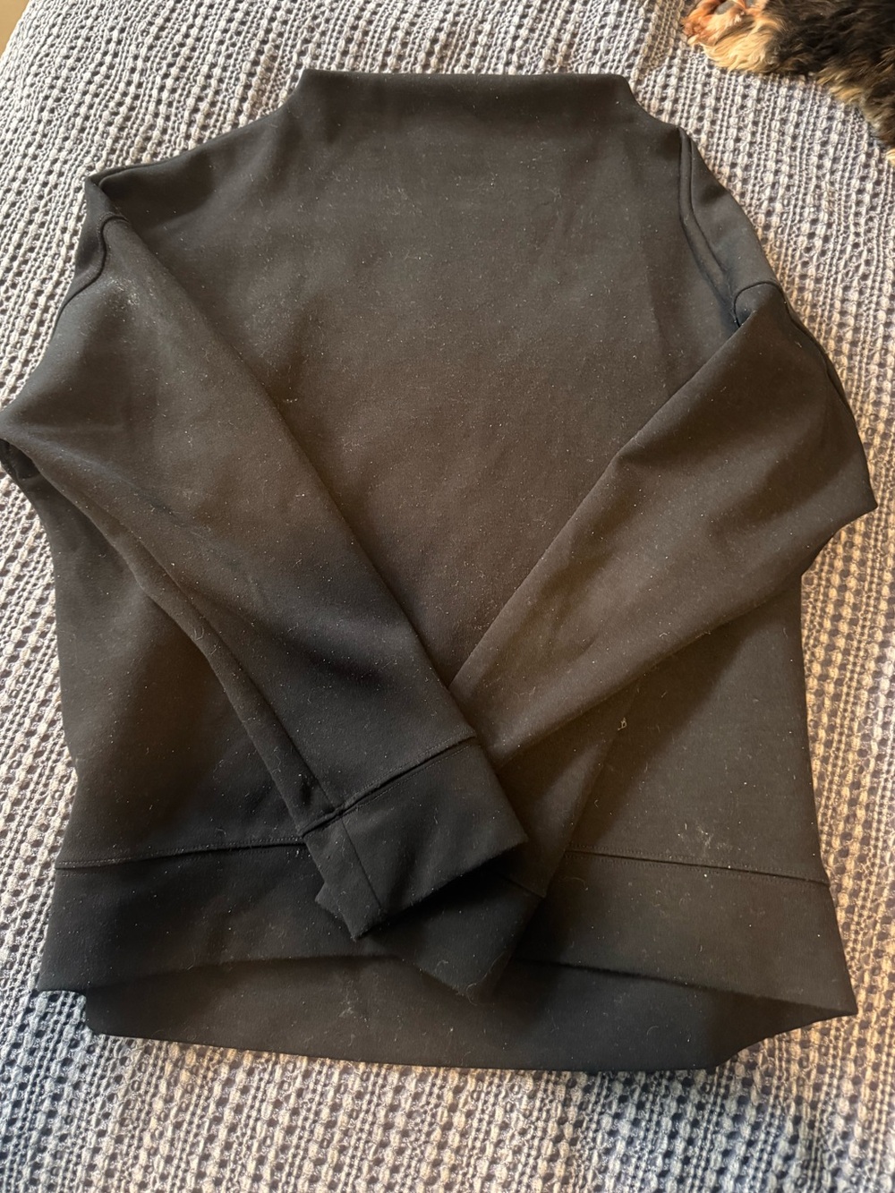 Prologue Black Mockneck Pullover Sweater